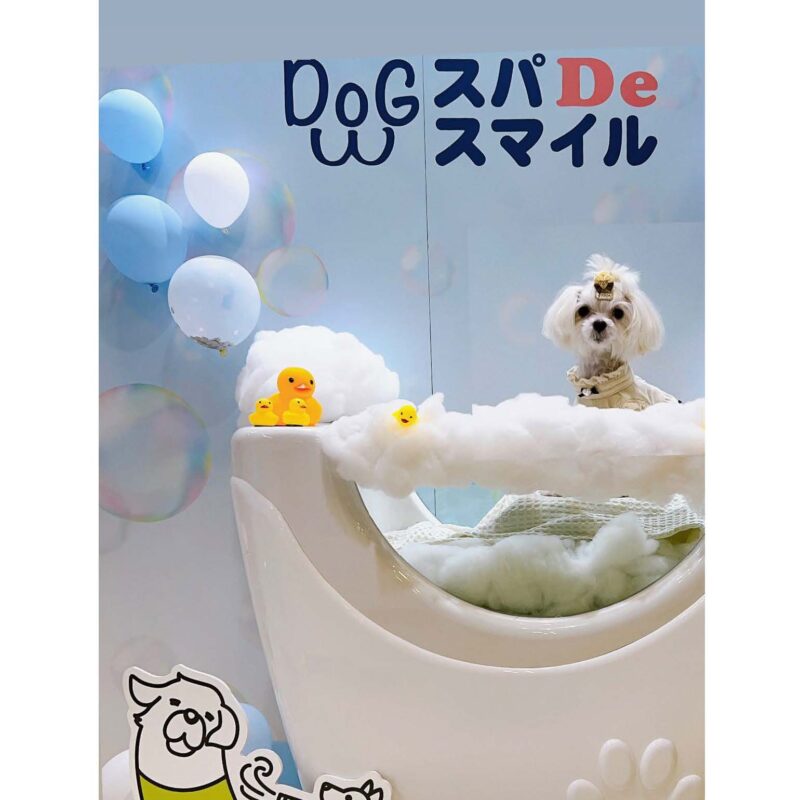 dogspadesmile イベントリポーとゲストスナップ ペット博 2023
